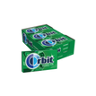 12XSpearmint